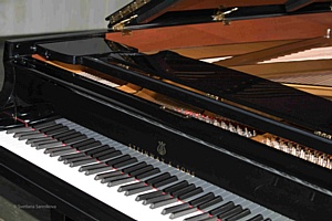     Steinway & Sons     