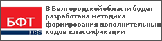 В Белгородской области будет разработана методика формирования дополнительных кодов классификации
