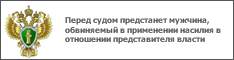 Перед судом предстанет мужчина, обвиняемый в применении насилия в отношении представителя власти